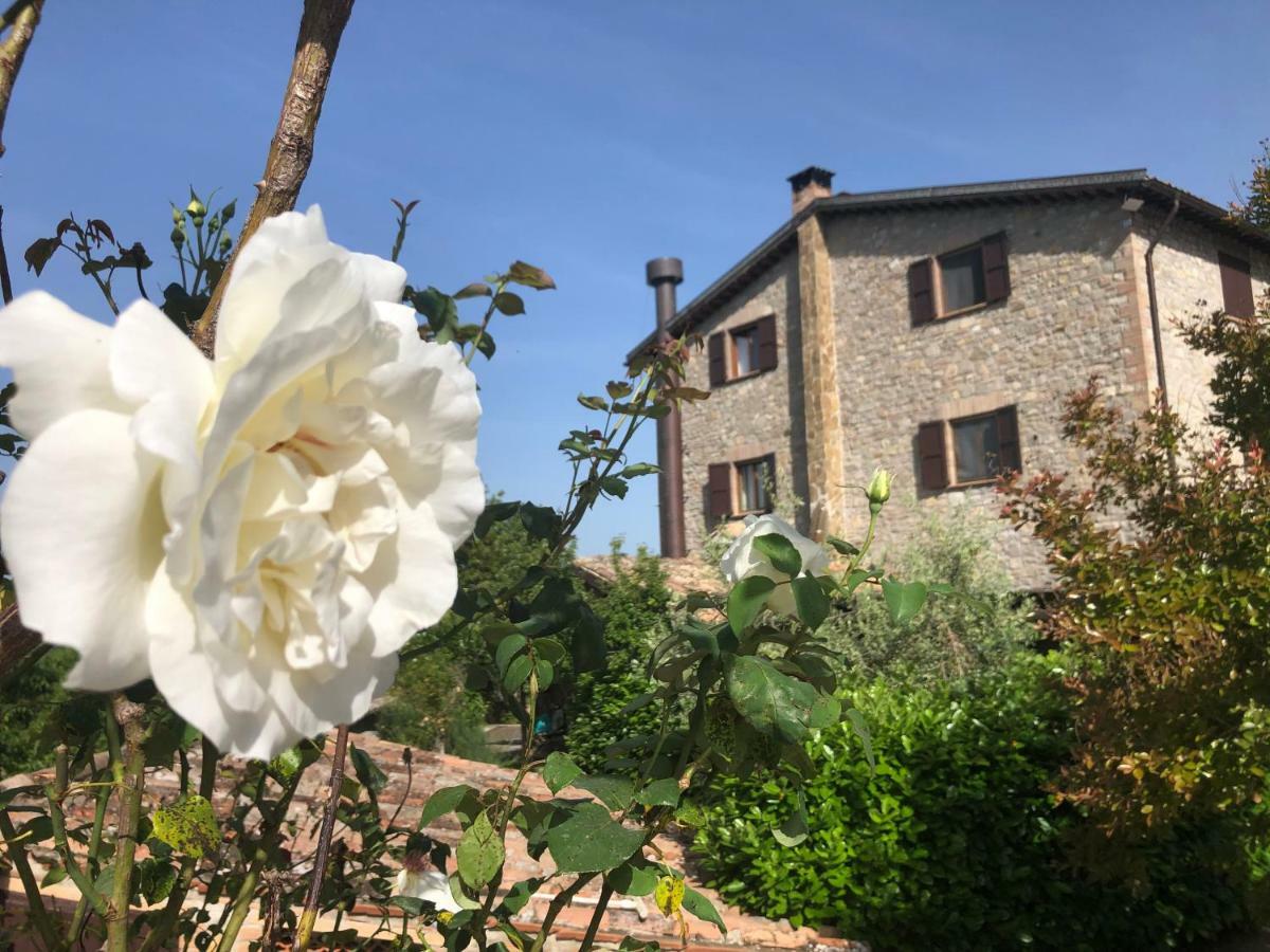 Agriturismo Beata Vanna Fabro Exteriér fotografie