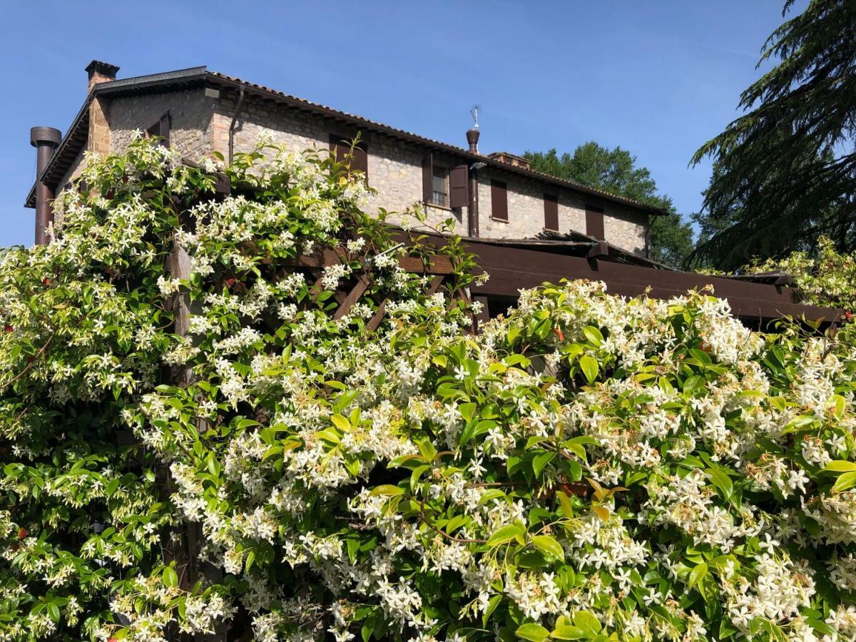 Vila Agriturismo Beata Vanna Fabro Exteriér fotografie