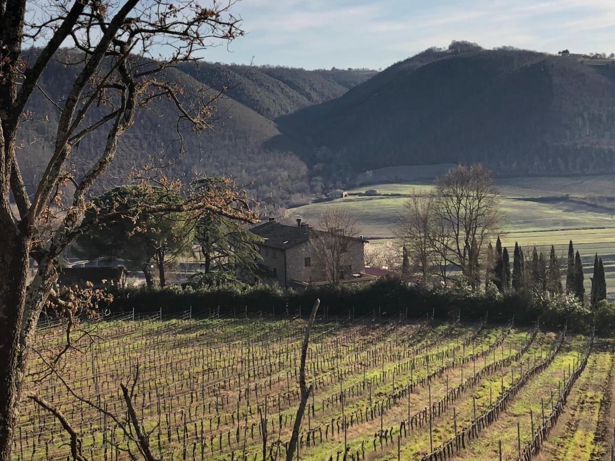 Vila Agriturismo Beata Vanna Fabro Exteriér fotografie